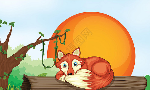 狐狸在求爱上休息绘画蓝色睡眠场景树叶木头晴天登山者草图哺乳动物图片