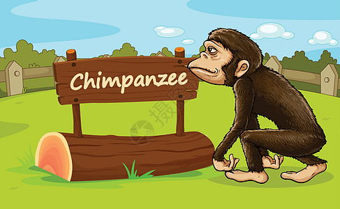 动物园动物天空大猩猩黑猩猩野生动物围栏外壳场地展示日志吉祥物图片