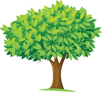 树植物光合作用木头空格处绘画植物学卡通片农业绿色丛林图片