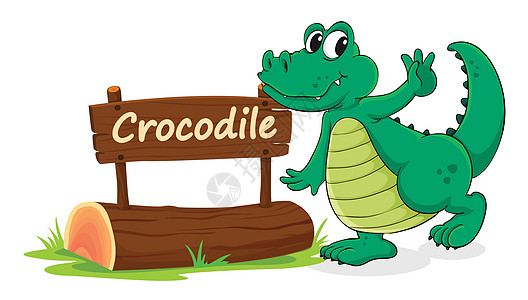 鳄鱼和名称板刻字动物园爬虫草图脚本生物英语动物木头展示图片