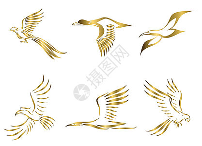 一组六张金色矢量图像的各种鸟类飞行 如野鸡 海鸥 野鸭 鹤 犀鸟和金刚鹦鹉 很好地用于符号吉祥物图标头像和日志图片