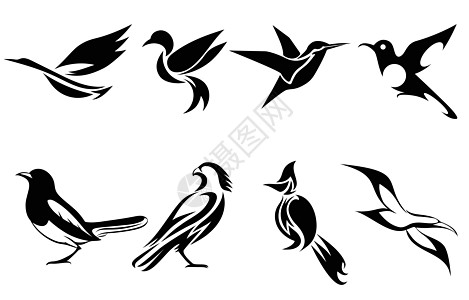 各种鸟类的矢量图像集 如苍鹭蜂鸟喜鹊猎鹰海鸥和对符号吉祥物图标头像和日志的良好用途图片