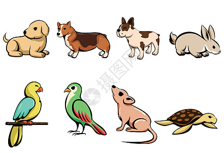 八种不同宠物动物的矢量插图卡通与小狗兔子鹦鹉鸟老鼠和 turtl图片