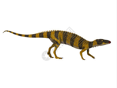 恐龙行走侏罗纪灭绝爬虫生物脊椎动物动物蜥蜴骨细胞荒野野生动物图片