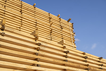 在锯木厂存放成堆的木板 木板堆放在木工车间 木材的锯切干燥和销售 用于家具生产 建筑的松木 木材业库存建造木匠工作材料经济松树木图片