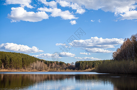 绿林中清澈的湖泊 蓝天 湖上有白云目的地生态田园池塘环境镜子天空荒野冒险风光图片