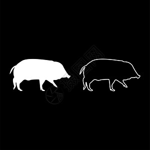 野猪剪影白色矢量插图实体轮廓样式图像獠牙疣猪公猪哺乳动物动物群怪物动物园森林动物野生动物图片
