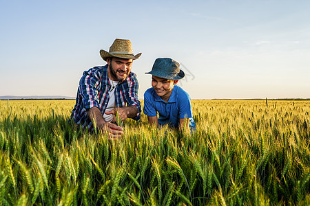 家庭农户农民教学种植园两个人检查风光蓝天接班人小麦播种孩子图片