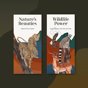 带有热带草原野生生物概念设计水彩色插图的飞轮模板水牛猎豹河马犀牛大猫野猪动物斑马哺乳动物狒狒图片