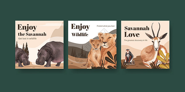 以草原野生生物概念设计水彩色插图的广告模板野猪水彩野猫野生动物动物群动物猎豹狒狒营销图片