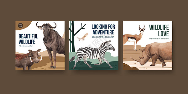 以草原野生生物概念设计水彩色插图的广告模板水彩水牛狒狒猎豹河马大草原斑马丛林营销动物图片