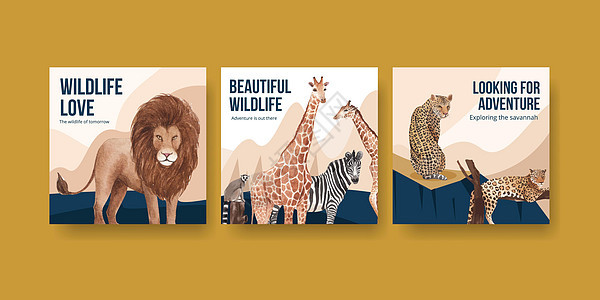 以草原野生生物概念设计水彩色插图的广告模板野猪猎豹大猫斑马狒狒野猫河马水牛犀牛丛林图片