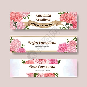 带有康乃馨花概念 水彩色风格的板条模板营销花束树叶女士植物花圈广告婚礼母性叶子图片