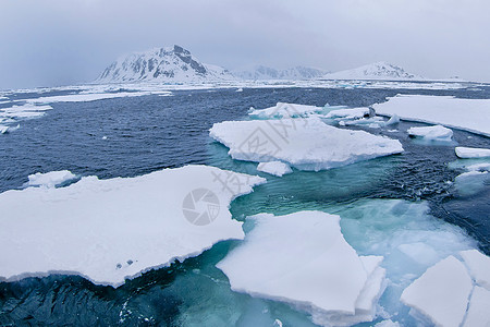 挪威斯瓦尔巴北极 挪威斯瓦尔巴的漂浮冰雪山生态全球生态旅游冰山自然保护环境海岸海洋保护栖息地图片