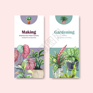 用于传单 小册子 小册子和广告水彩插图的夏季植物传单模板设计绘画叶子双色绿萝金色肉质绿色园艺花园贝母图片