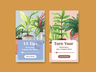 Instagram 模板设计 包括夏季植物和室内植物 适用于社交媒体 在线社区 互联网和广告水彩插图绿萝箭头叶子肉质花园双色绘画图片
