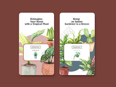 Instagram 模板设计 包括夏季植物和室内植物 适用于社交媒体 在线社区 互联网和广告水彩插图花园园艺绘画双色手绘箭头贝母图片