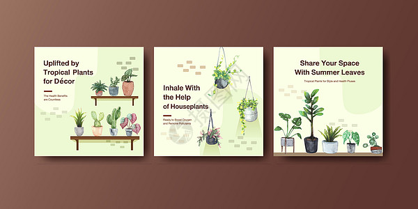 夏季植物和室内植物宣传传单 小册子和小册子水彩图案的模板设计贝母箭头绘画园艺文档绿萝肉质花园花盆金色图片