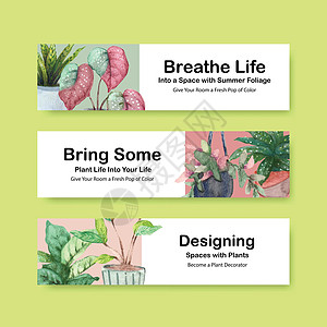 夏季植物横幅模板设计手册 传单 广告和小册子水彩图案手绘肉质贝母双色箭头金色插图绿萝绿色园艺图片