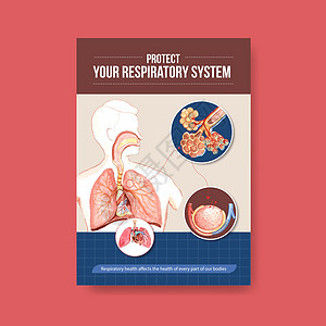 有关呼吸系统解剖和了解基本系统的信息医院身体器官健康保健卫生绘画癌症疾病科学图片