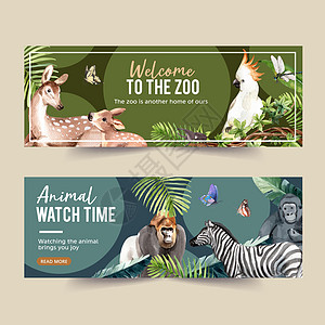 带有水彩插图的动物园横幅设计野生动物染色大猩猩绘画热带打印蜻蜓树叶蝴蝶手绘背景图片