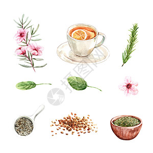 一套水彩和手绘白色背景的凉茶收藏插图背景图片