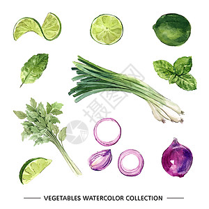 装饰用白色背景上的各种孤立水彩蔬菜插图图片