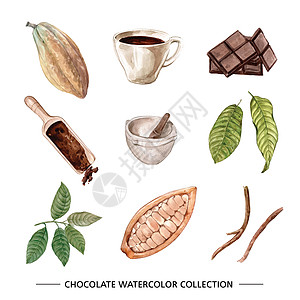 白色背景上的一组水彩设计巧克力插图图片
