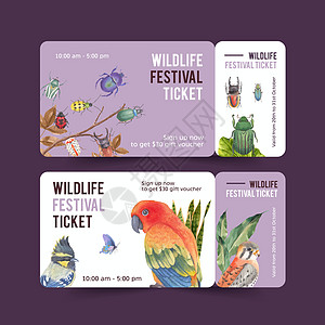 昆虫和鸟票设计与水彩插图图片