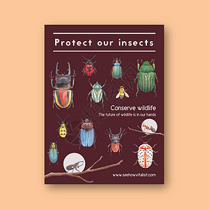 昆虫和鸟类海报设计与甲虫水彩插图图片