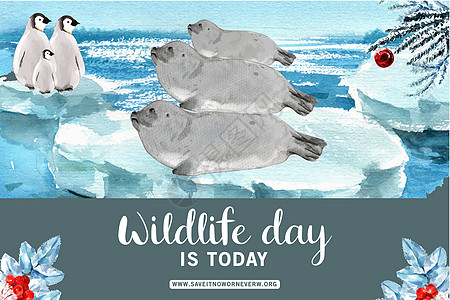 冬季动物框架设计与海狮 企鹅水彩图图片