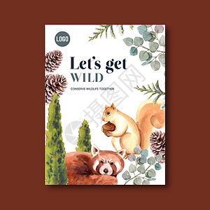 冬季动物海报设计 配有松树 树 浣熊水彩色插图图片