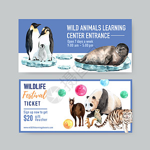 冬季动物证设计有海豹 企鹅 冰水彩色插图图片