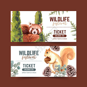 冬季动物券设计 配有松树 叶子 松鼠水彩色插图图片