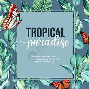 热带主题装饰框架 有创意的叶子和蝴蝶用于优雅有力的展示图片