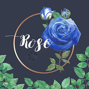 蓝玫瑰花花 水彩框架 美丽 装饰式结婚卡 邀请函 插图设计季节边界广告标签树叶花园玫瑰绿色植物装饰卡片图片