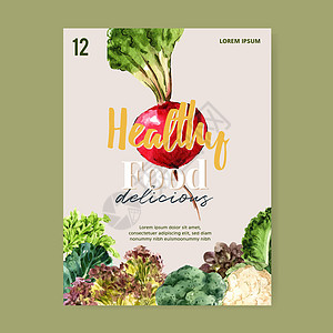 新鲜食品有机海报传单健康设计插图 请使用绿色蔬菜水彩色涂料饮食生态叶子胡椒食物收藏沙拉菜单水彩餐厅图片