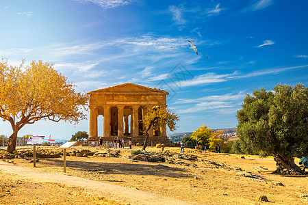 圣殿谷 康科迪亚寺庙 这是在公元前五世纪建造的古希腊神庙 Agrigento 西西里古董宗教地标遗产山谷柱子考古学文明建筑学历史图片