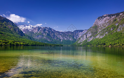 斯洛文尼亚的渤兴湖 自然之美 在特里格拉夫国家公园斯洛文尼亚 阿尔卑斯山 欧洲的 Bohinj 湖上度过五颜六色的夏天 斯洛文尼图片