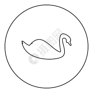 Swan 鸟类水鸟环绕圆圈的环形浅色矢量插图轮廓轮廓风格图像图片