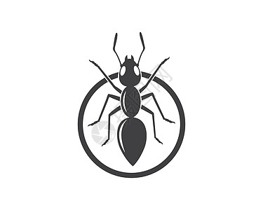 蚂蚁标志图标矢量插图设计殖民地昆虫黑色工人团队标识害虫踪迹团体卡通片图片