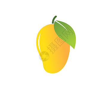 芒果矢量图日志植物水果生态热带食物甜点海报卡通片插图标签图片