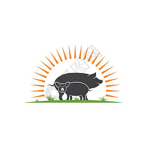 猪矢量图标插画设计绘画标签农业白色宠物标识卡通片猪肉小猪动物图片