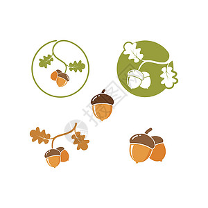 橡树橡子矢量图设计环境生长叶子食物树叶插图棕色橡树叶坚果黄色图片