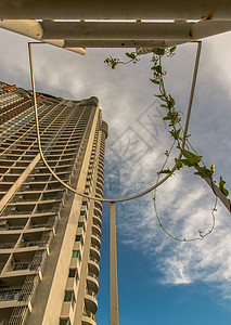 在现代住宅公寓和天空的白金属消防逃生场底部看一看 照片来自Flickr用户Twitter网站图片