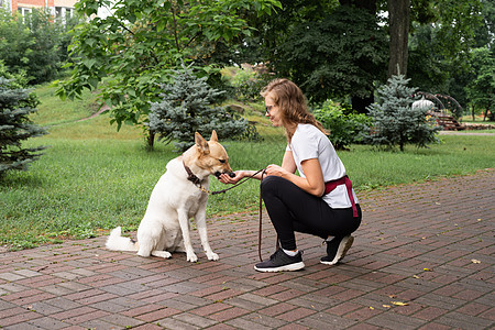 年轻妇女在公园训练她的狗伴侣犬类动物幸福朋友宠物街道女性乐趣友谊图片
