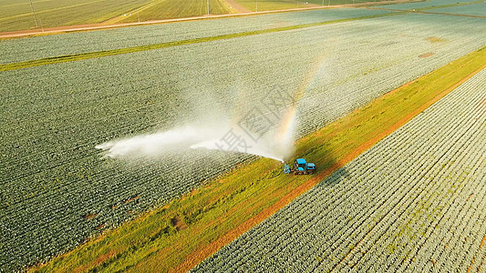 农田灌溉系统生长农业场地机器沙拉植物农场技术乡村鸟瞰图图片