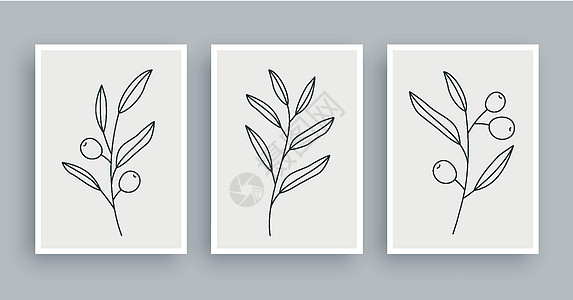 橄榄枝植物墙艺术绘画背景 具有抽象形状的树叶艺术和手绘线条 中世纪斯堪的纳维亚北欧风格插图打印刷子艺术品叶子海报艺术家框架墙纸画图片
