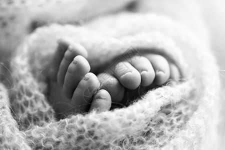 新生儿腿的照片 婴儿脚覆盖着孤立的羊毛背景 新生儿的小脚在柔和的选择性焦点中 脚底的黑白图像育儿柔软度童年赤脚毯子皮肤压痛孩子新图片