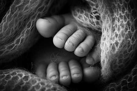新生儿腿的照片 婴儿脚覆盖着孤立的羊毛背景 新生儿的小脚在柔和的选择性焦点中 脚底的黑白图像赤脚母性脚趾新生后代压痛育儿生活脚步图片